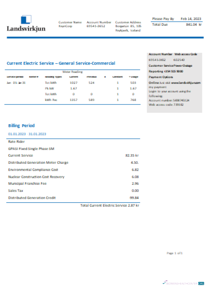 The National Power Company of Iceland Landsvirkjun electricity utility business bill, SCR